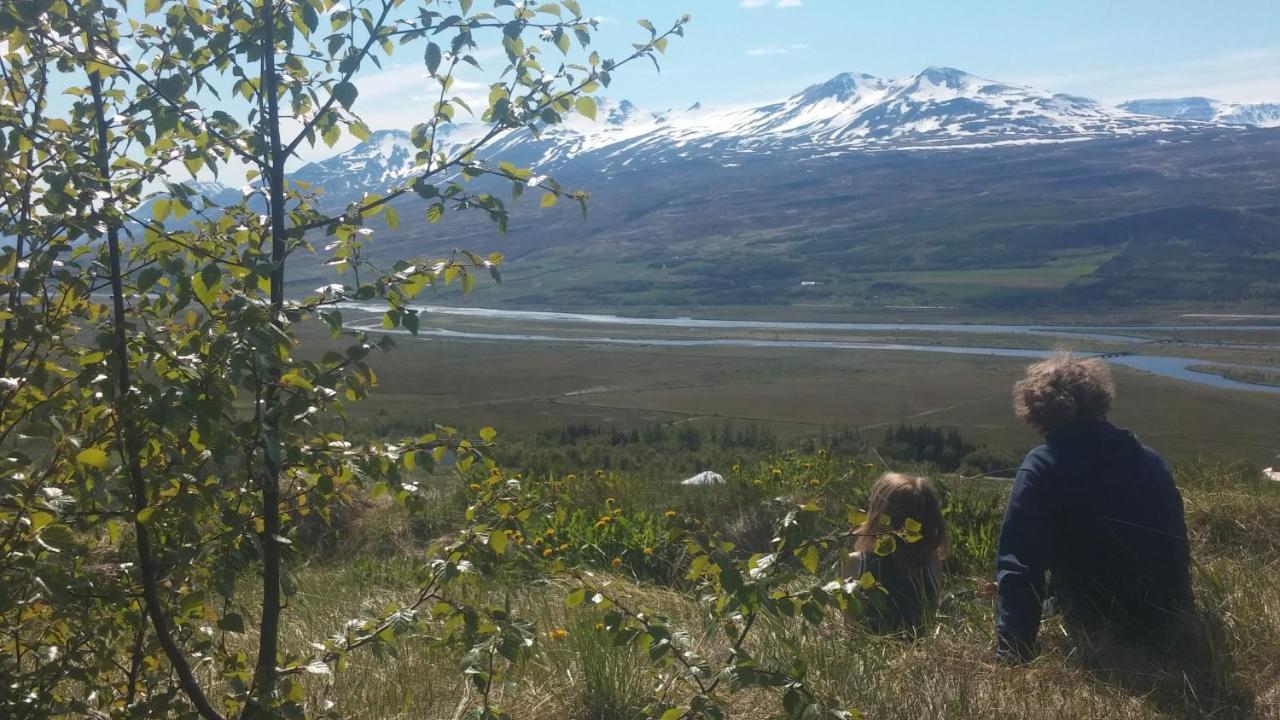 Iceland Yurt アークレイリ エクステリア 写真