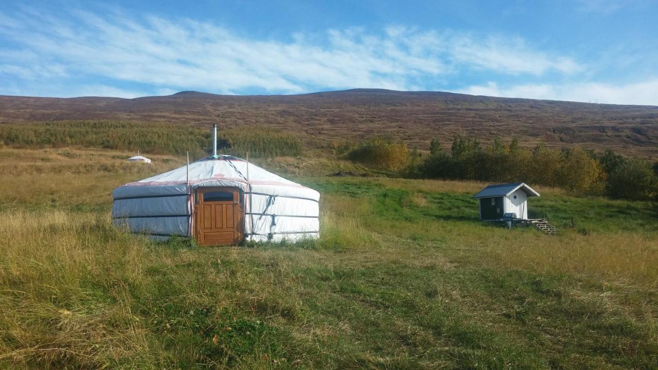 Iceland Yurt アークレイリ エクステリア 写真