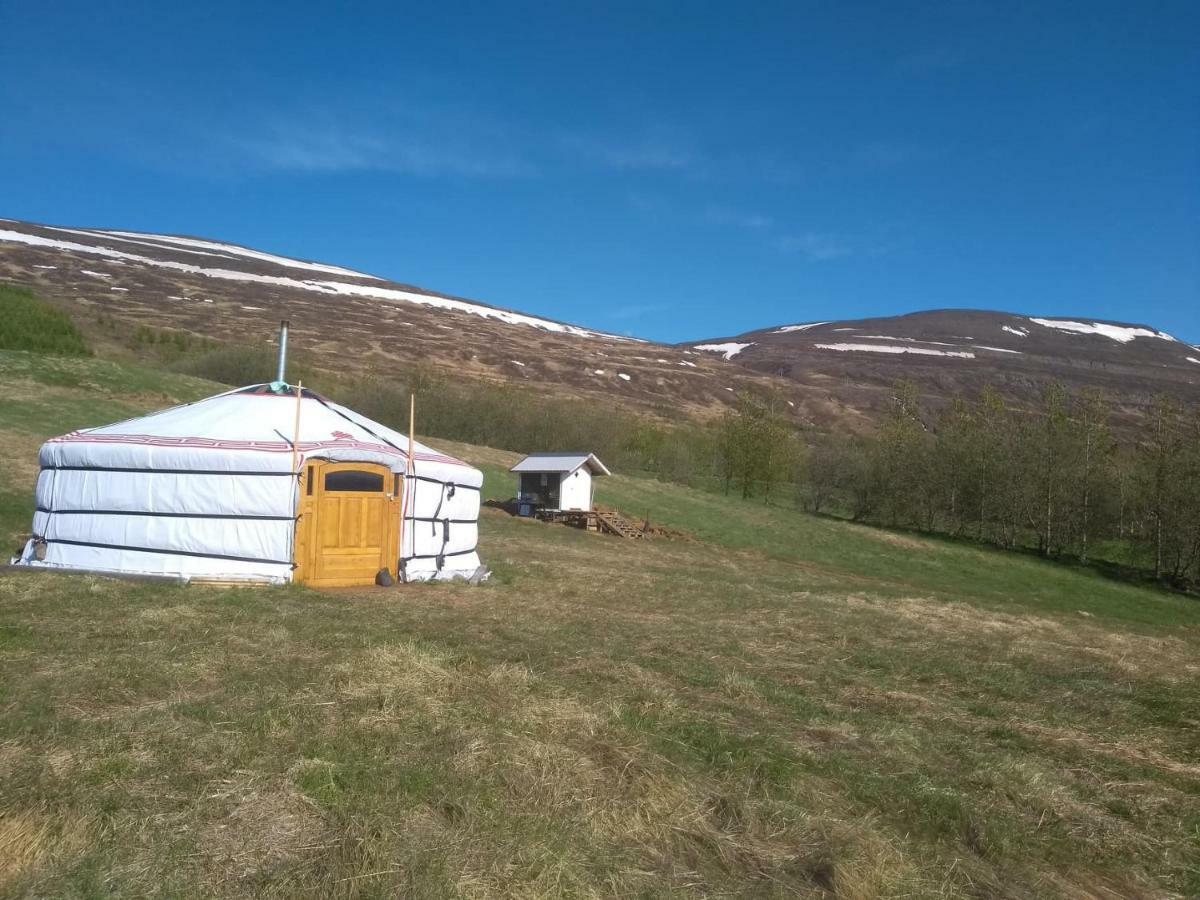 Iceland Yurt アークレイリ エクステリア 写真