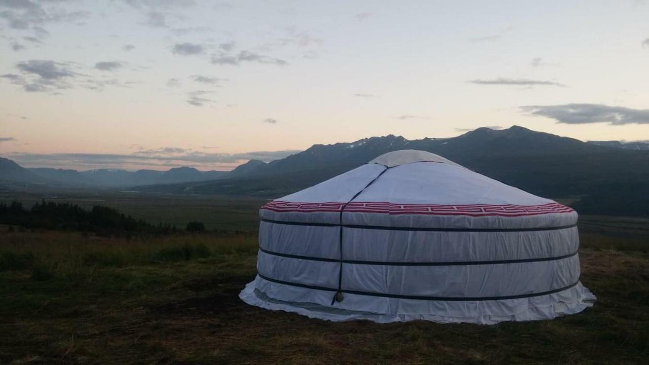 Iceland Yurt アークレイリ エクステリア 写真