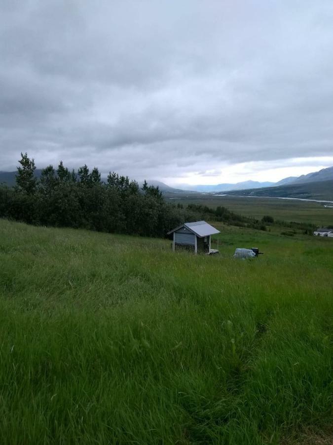 Iceland Yurt アークレイリ エクステリア 写真