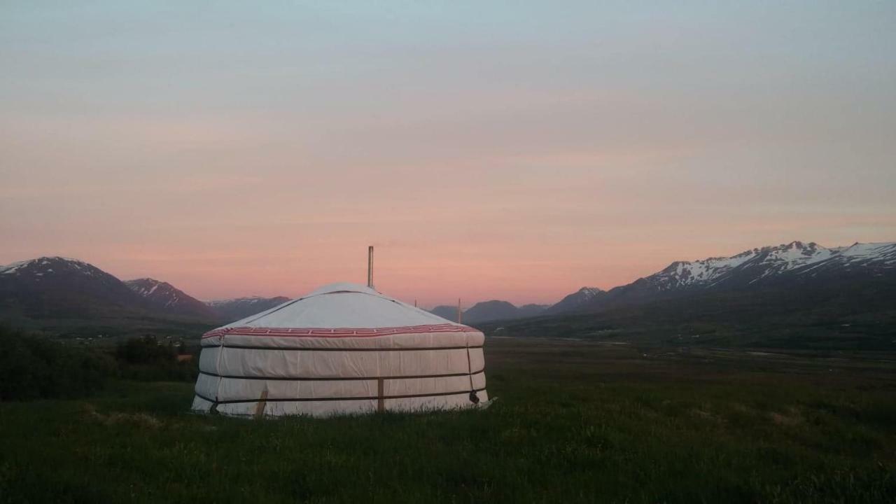 Iceland Yurt アークレイリ エクステリア 写真